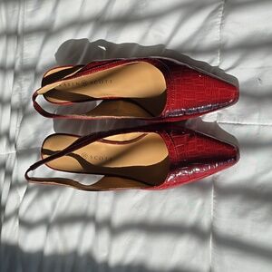 Karen Scott heel